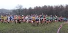 Soon after the start of the senior womens Northern Cross Country Champs, Knowsley Safari Park. Photo: David T. Hewitson/Sports for All Pics
